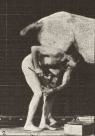Plate 509 Shoeing a horse — figure reference